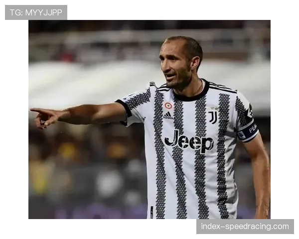 意甲海外版权收入创历史新高，美国市场增长显著